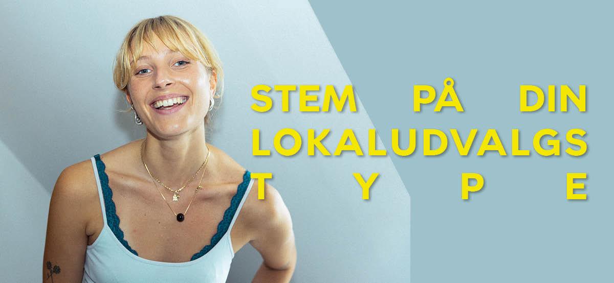 Billede af en lokaludvalgstype