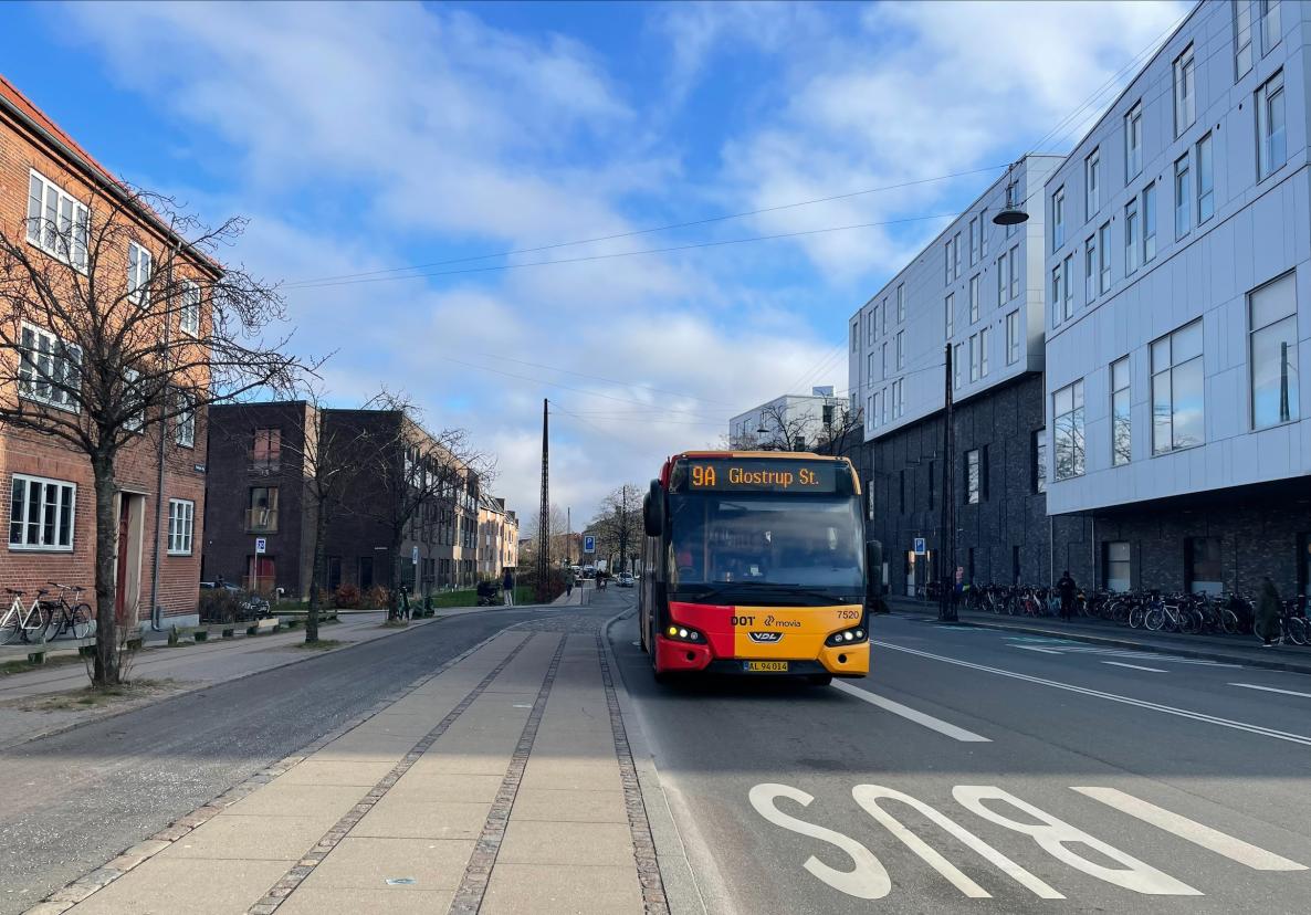 Bus